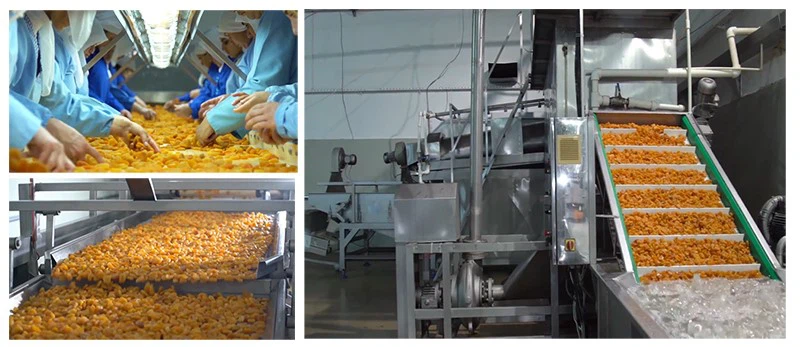 product-800-347 product-800-347