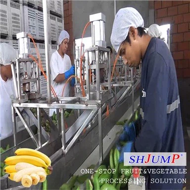 Ligne de traitement de purée de banane