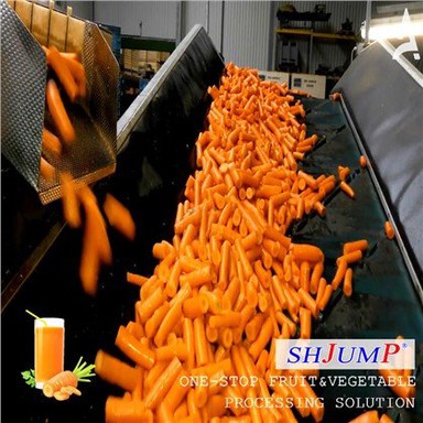 Ligne de traitement des carottes