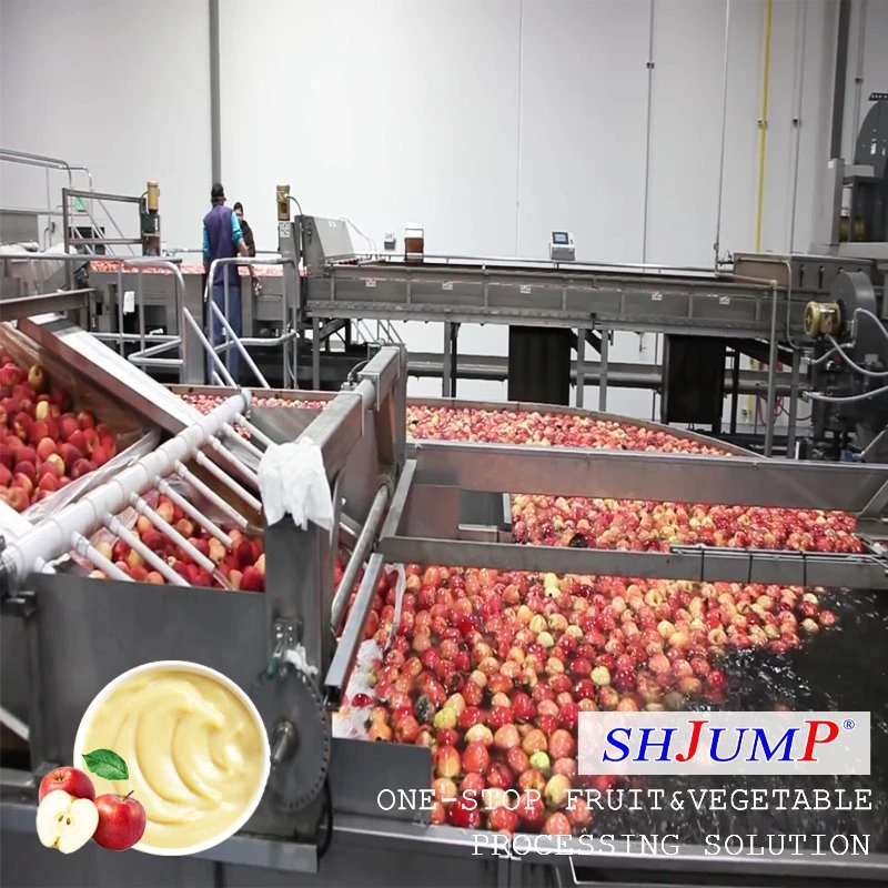 Ligne de traitement de purée de pomme