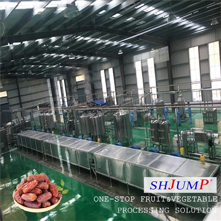 Date Syrup Processing Line