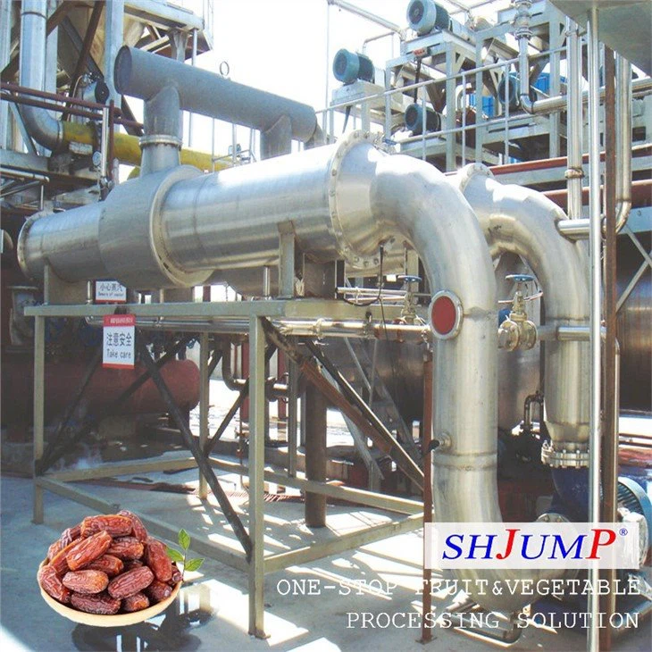 Date Syrup Processing Line