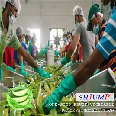 Ligne de traitement de l'aloe vera