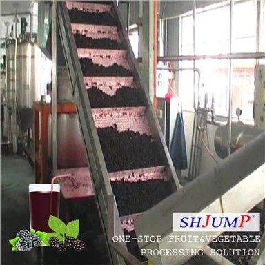 Ligne de traitement de purée de mûres