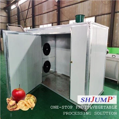 Ligne de traitement de tranches de pomme séchées