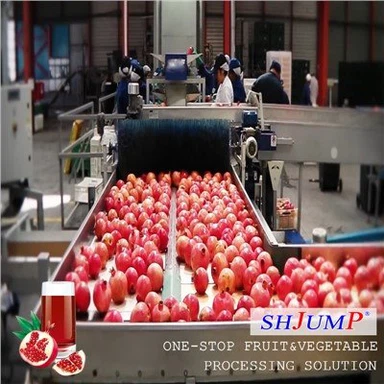 Ligne de traitement de jus de grenade