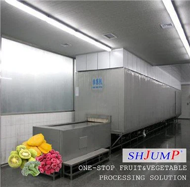 Ligne de traitement de fruits surgelés