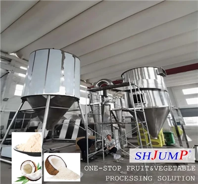 Ligne de traitement de poudre de noix de coco